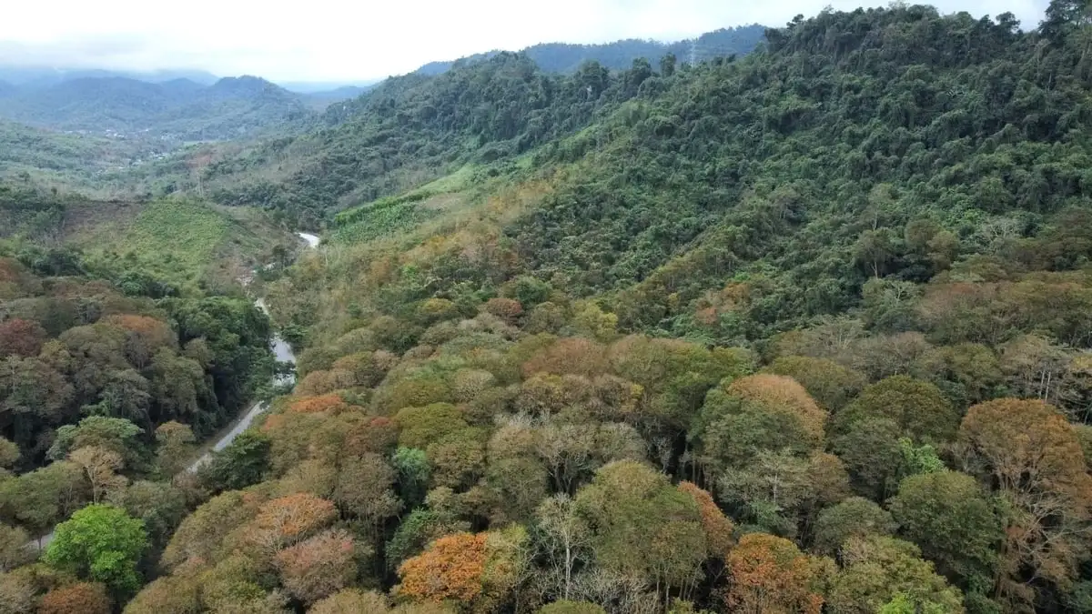 Đồng bào vùng cao Nghệ An ấm no hơn nhờ được giao đất giao rừng