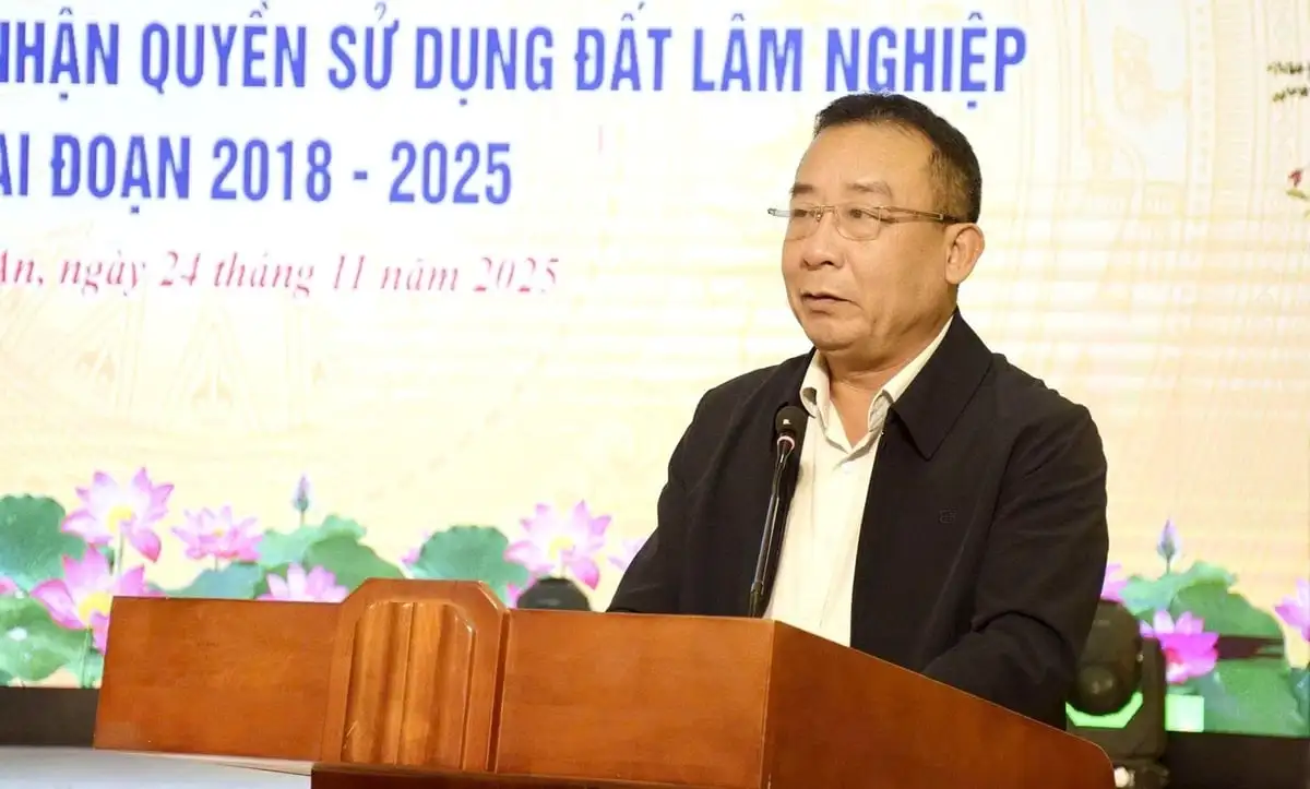 Đồng bào vùng cao Nghệ An ấm no hơn nhờ được giao đất giao rừng