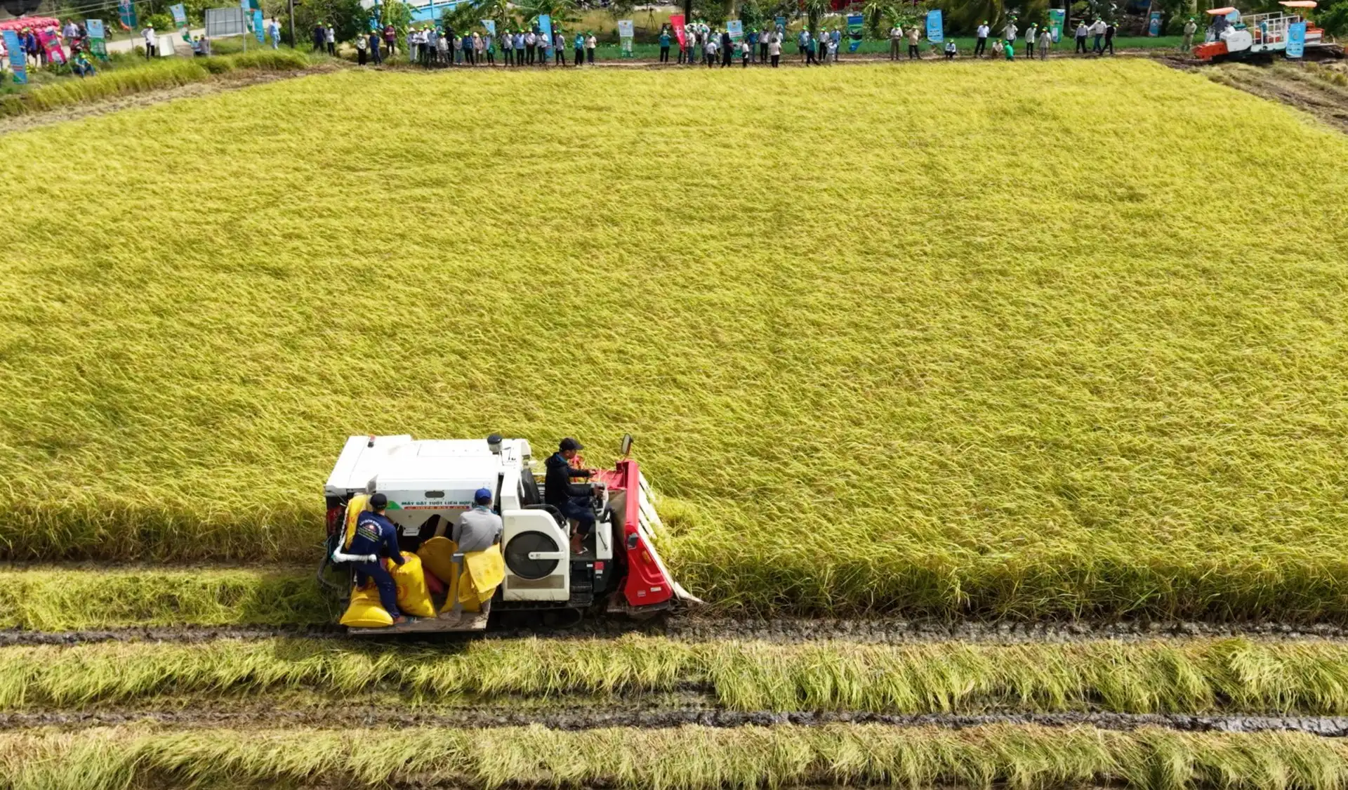 Đóng góp ý kiến vào dự thảo Văn kiện Đại hội XIV: Cần bổ sung, khẳng định “Nông nghiệp là lợi thế quốc gia”