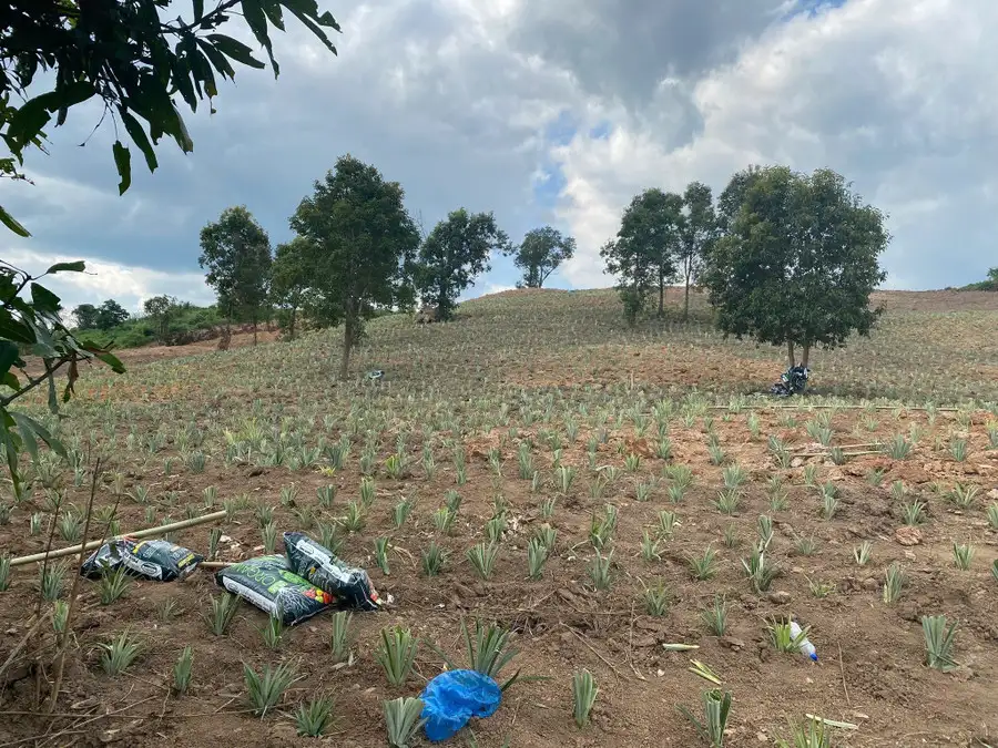 Động lực thoát nghèo từ việc đẩy mạnh thông tin ở Mường Nhà