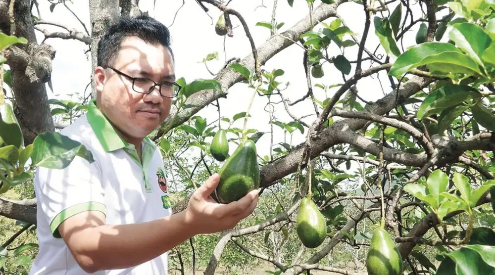 Đồng Nai đẩy mạnh Chương trình Mỗi xã một sản phẩm (OCOP) Điểm nhấn trong phát triển kinh tế nông thôn