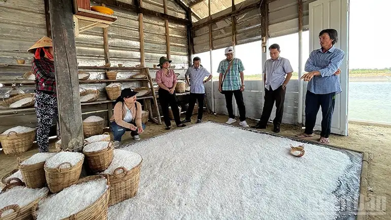 Du lịch nông thôn tạo động lực phát triển nông nghiệp bền vững