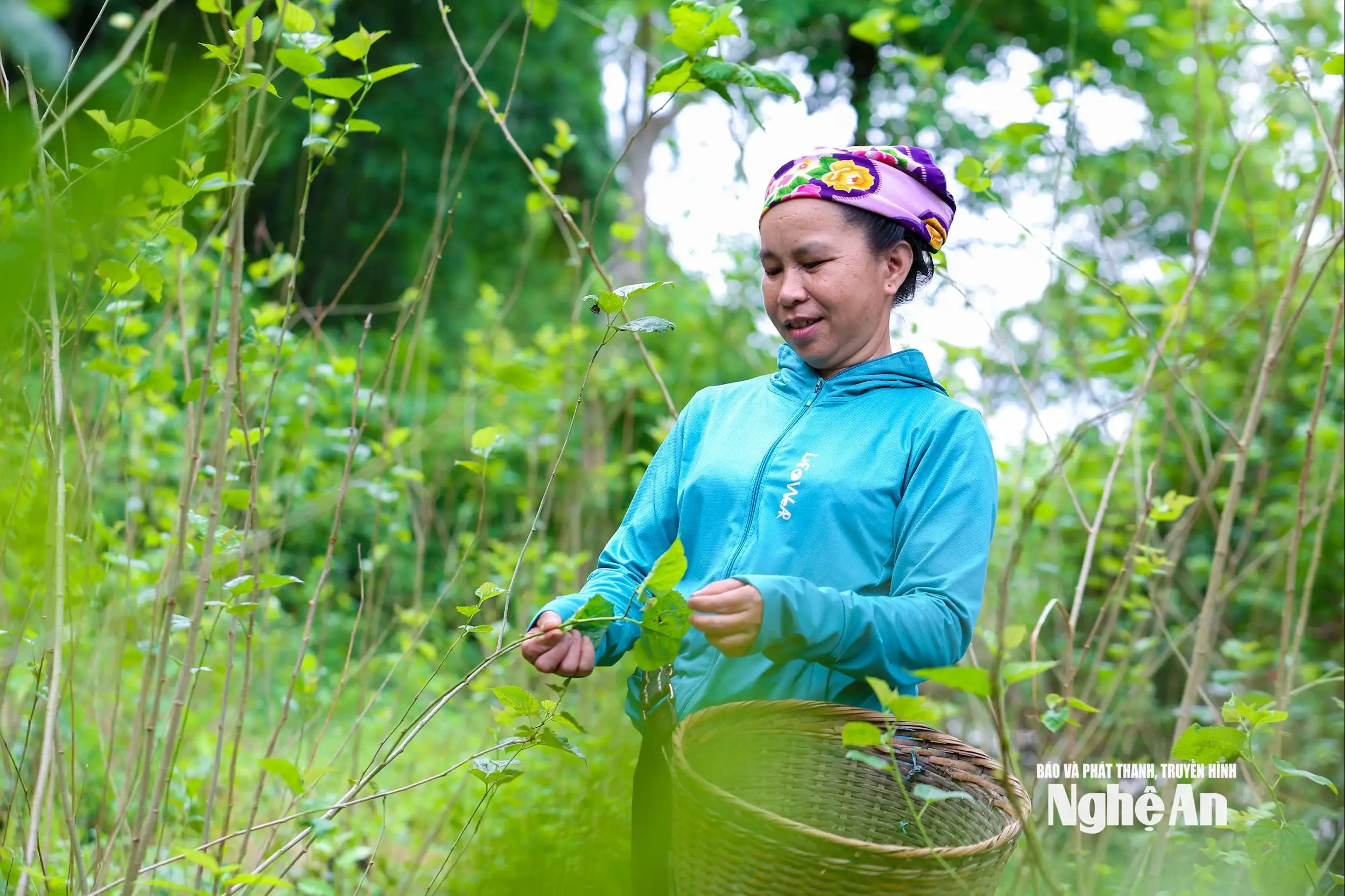 Giấc mơ thổ cẩm đang hồi sinh ở Mường Quàng
