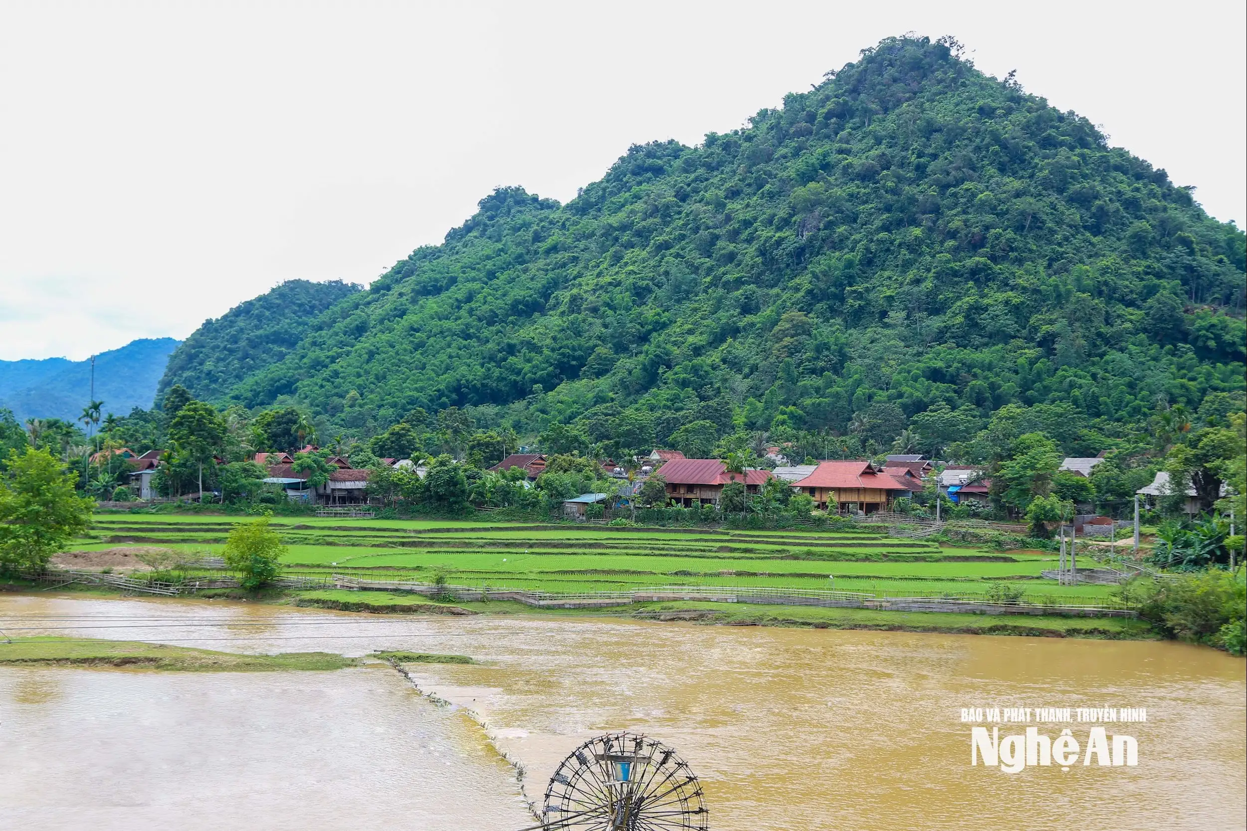 Giấc mơ thổ cẩm đang hồi sinh ở Mường Quàng