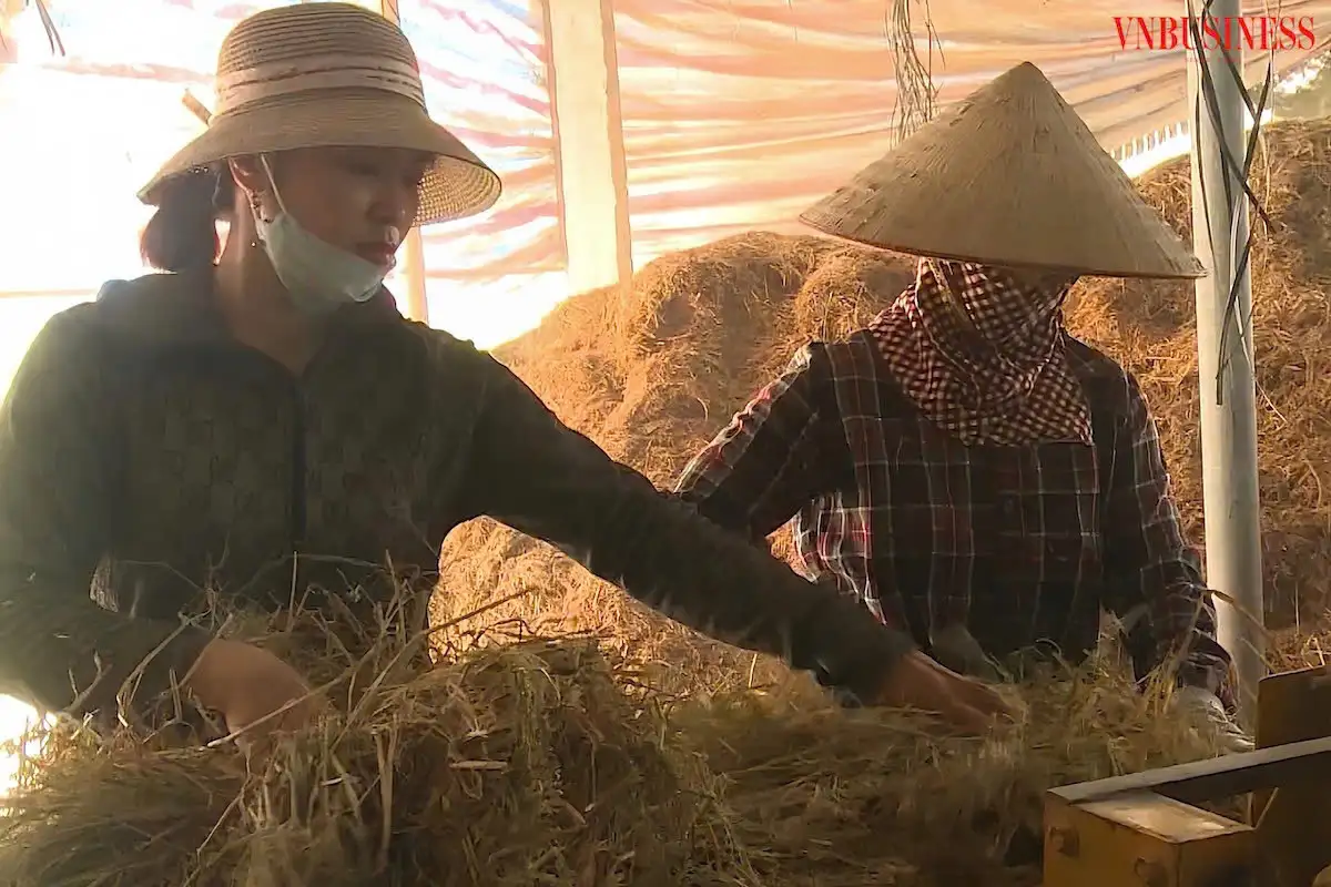 Giải mã thành công trong xây dựng nông thôn mới Ninh Bình: &#8216;Chìa khoá xanh&#8217; từ kinh tế tập thể