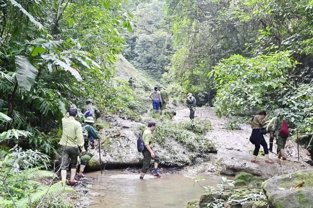 Giữ rừng để thoát nghèo bền vững