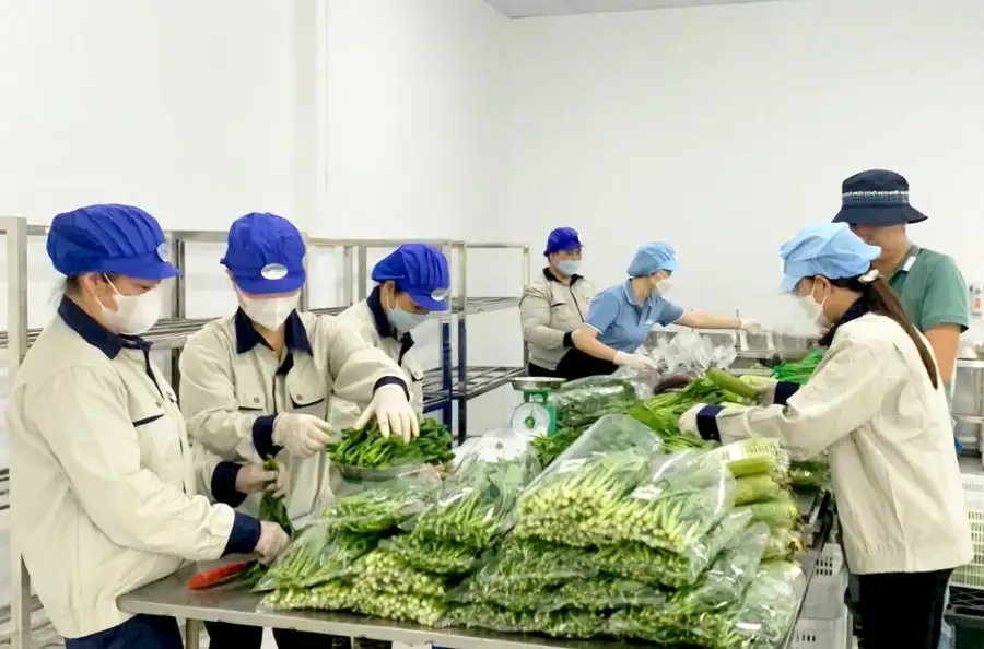 Hà Nội đột phá sản phẩm OCOP từ vùng chuyên canh