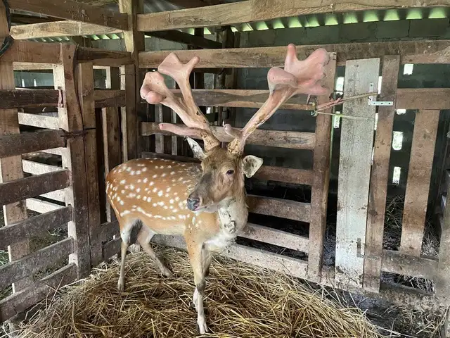 Hà Tĩnh: Lan tỏa hiệu quả các mô hình sinh kế, góp phần giảm nghèo bền vững