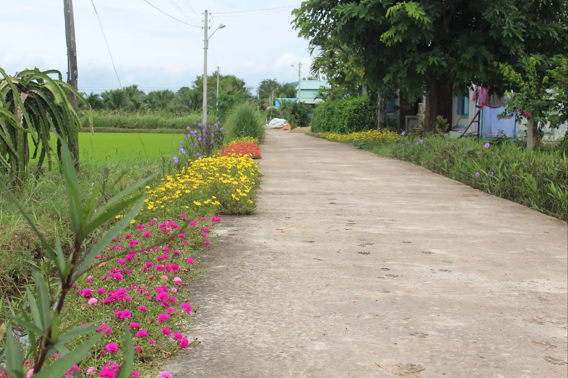 Hợp lực “viết tiếp” chương trình xây dựng nông thôn mới