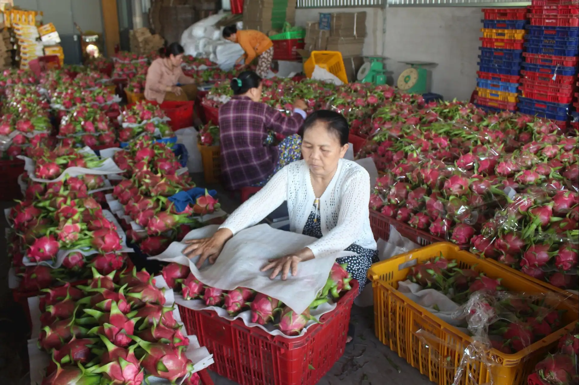 Hợp lực “viết tiếp” chương trình xây dựng nông thôn mới