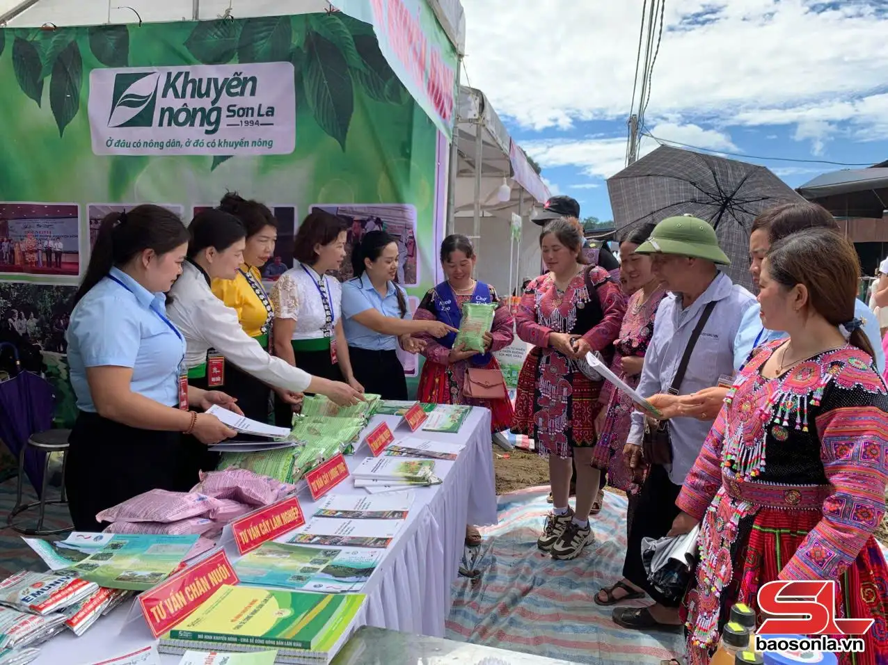 Hợp tác xã &#8211; Hạt nhân tái cơ cấu ngành nông nghiệp