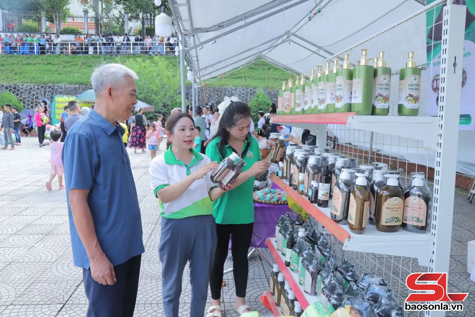 Hợp tác xã – Hạt nhân tái cơ cấu ngành nông nghiệp