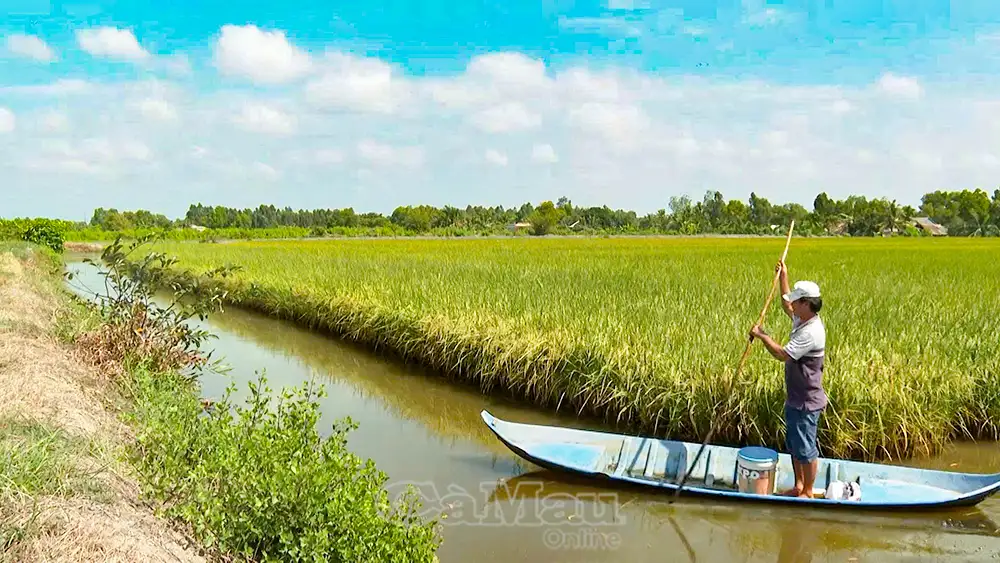 Hướng đến nền nông nghiệp hiện đại, bền vững