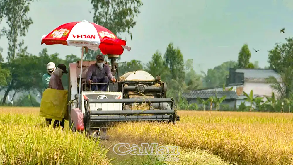 Hướng đến nền nông nghiệp hiện đại, bền vững