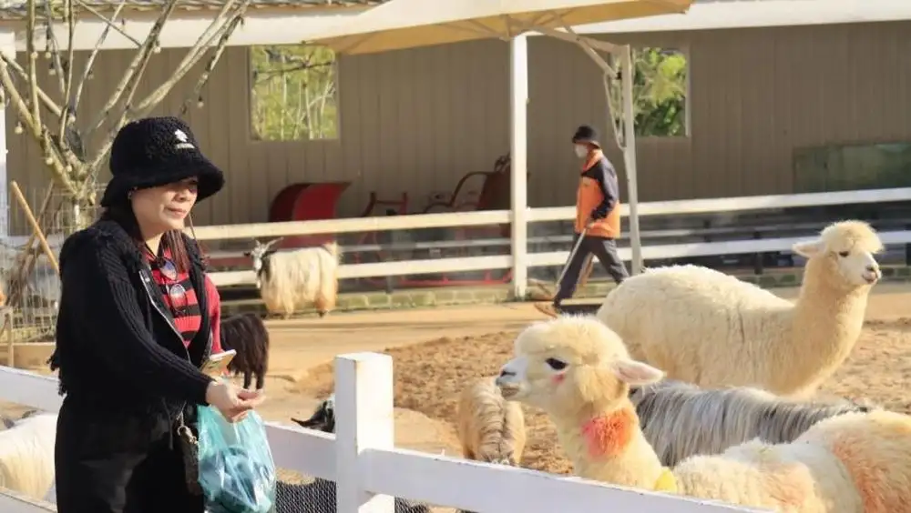 Hướng đi xanh của du lịch nông nghiệp, nông thôn