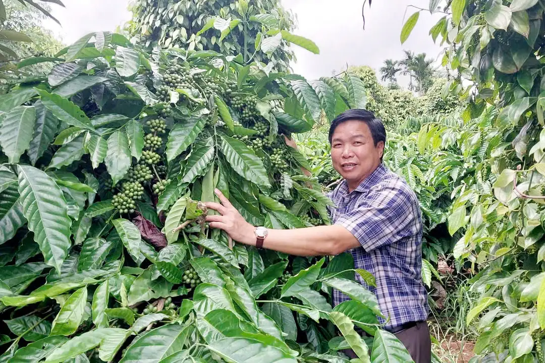 Khi dân chủ được phát huy trong xây dựng nông thôn mới