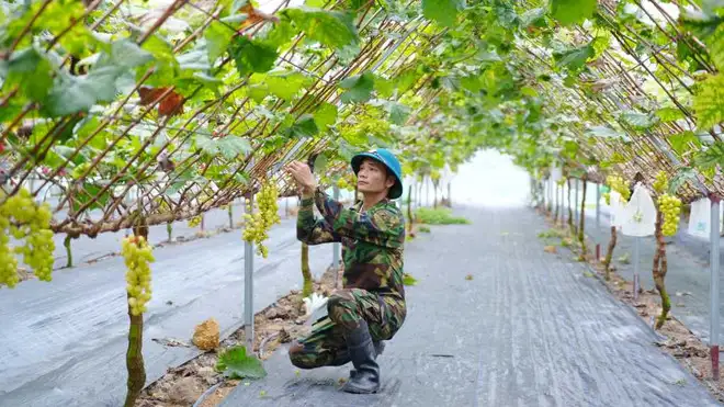 Kỳ tích giảm nghèo ở Quảng Ninh