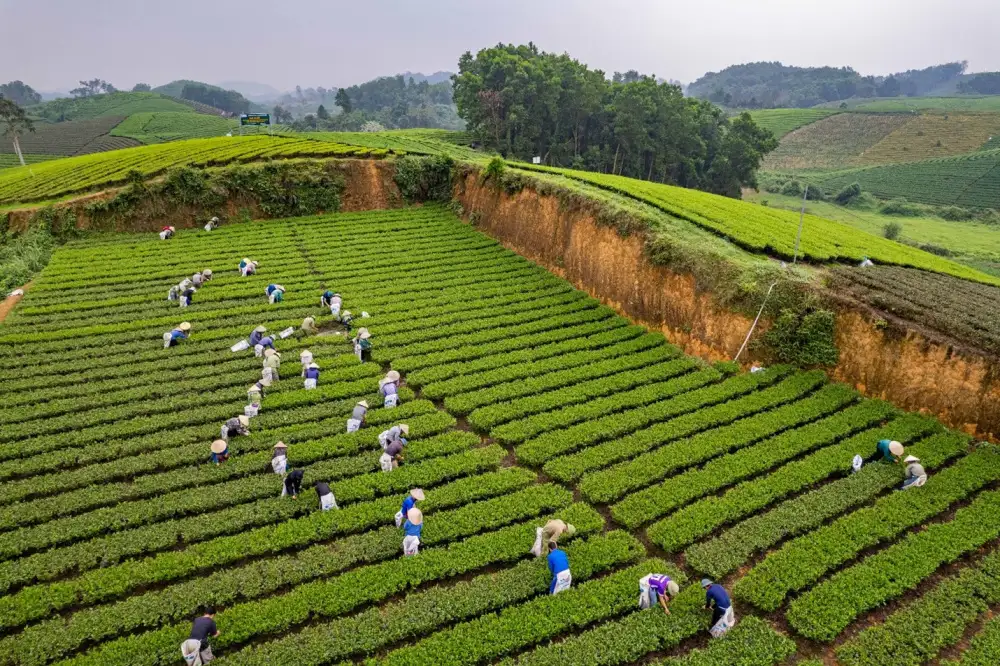 La Bằng: Phát triển du lịch cộng đồng gắn với trải nghiệm giúp người dân tạo thêm sinh kế thoát nghèo