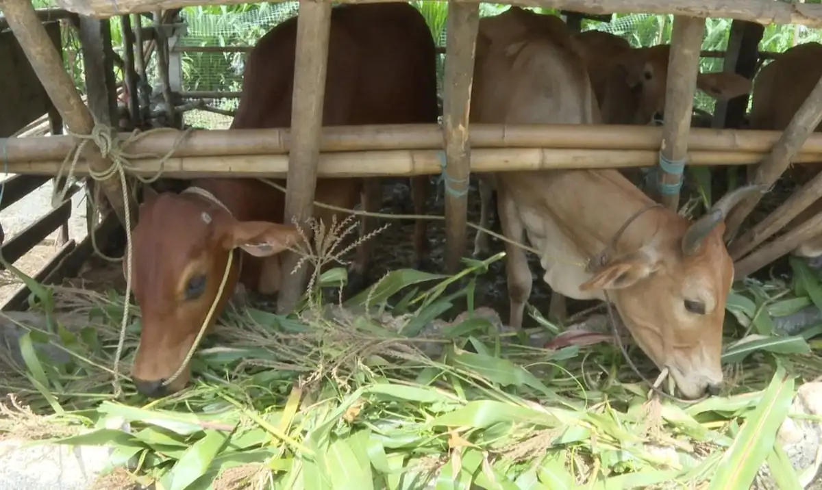 Lan tỏa thành quả chương trình giảm nghèo bền vững