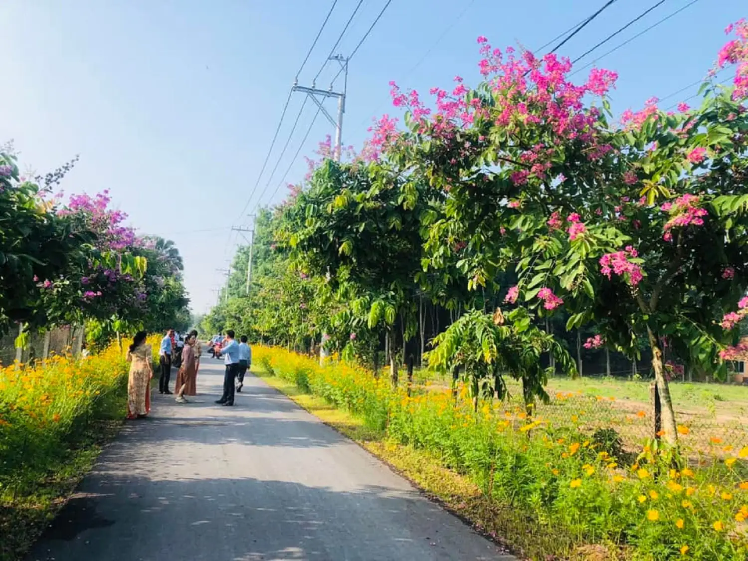 Làng nghề làm nông thôn mới, kiến tạo vùng quê đáng sống ở TP.HCM