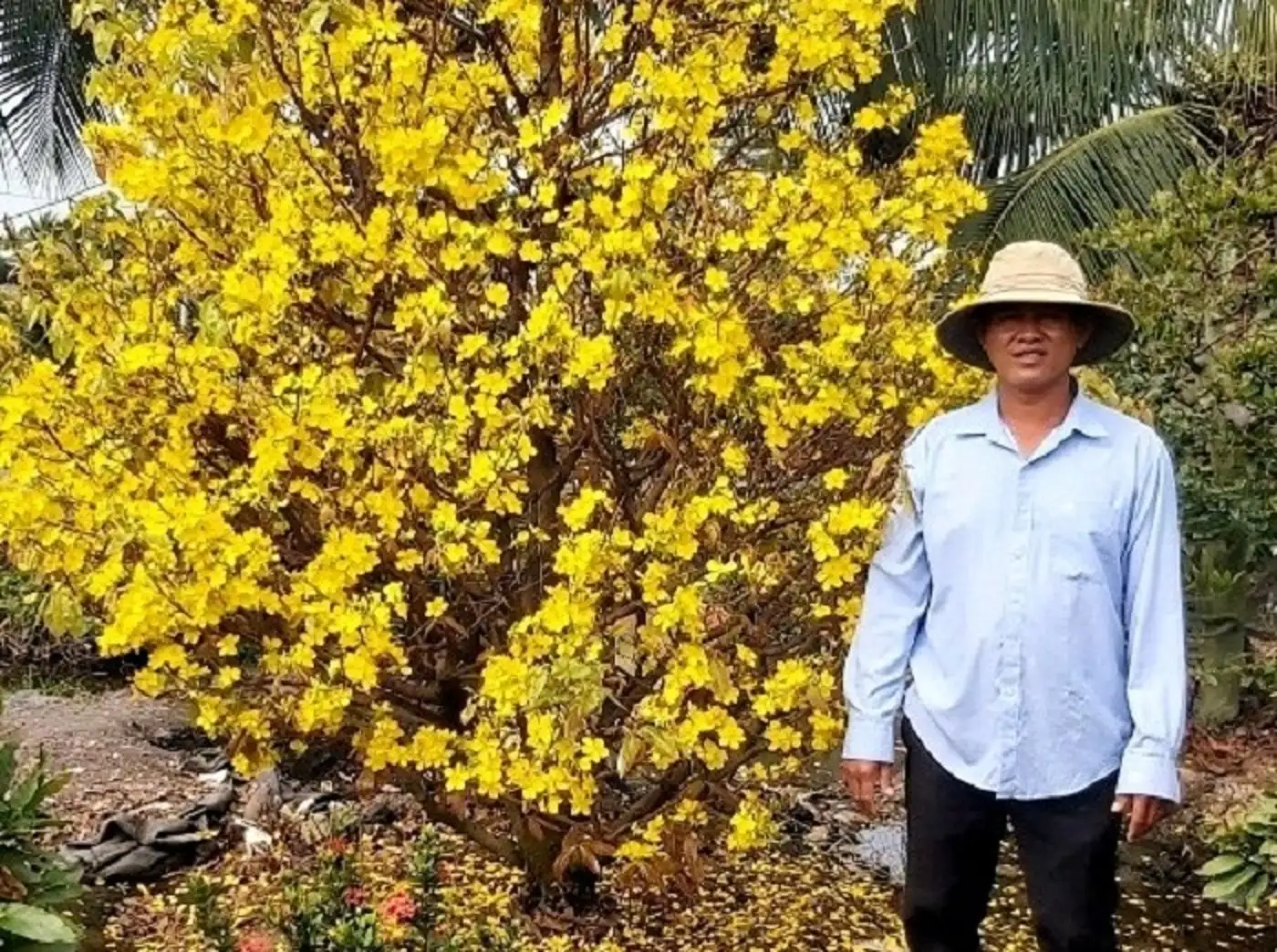 Làng nghề làm nông thôn mới, kiến tạo vùng quê đáng sống ở TP.HCM