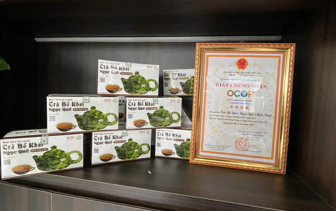 Nâng tầm cây bồ khai Lạng Sơn đạt chuẩn OCOP 4 sao