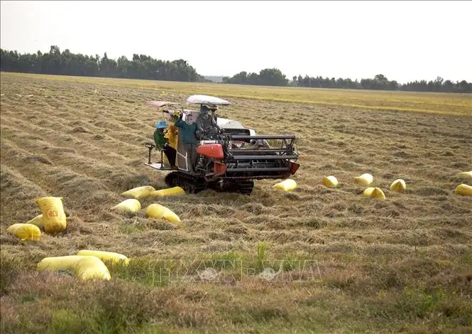 Ngành nông nghiệp duy trì tăng trưởng dù chịu ảnh hưởng của mưa bão