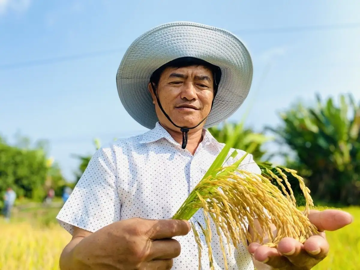 Ngành nông nghiệp triển khai kế hoạch giảm phát thải trong trồng trọt đến năm 2050