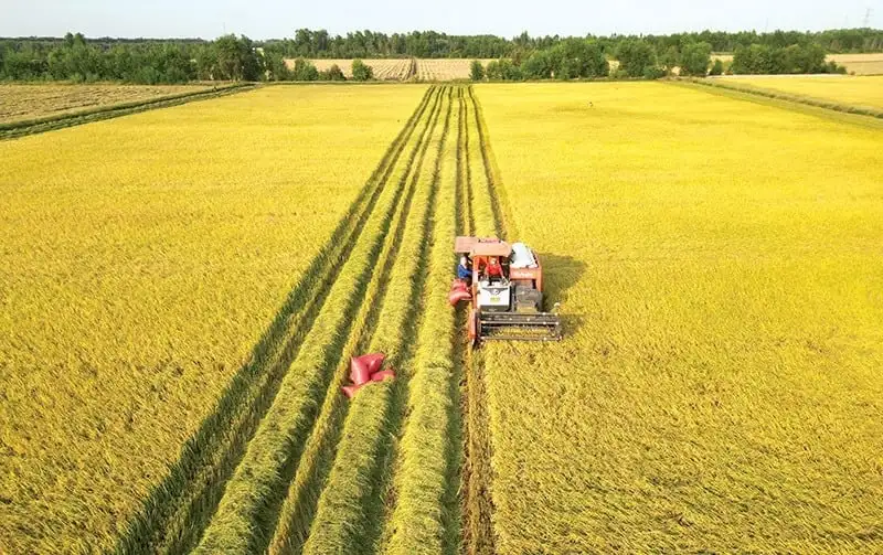 Ngành nông nghiệp triển khai kế hoạch giảm phát thải trong trồng trọt đến năm 2050