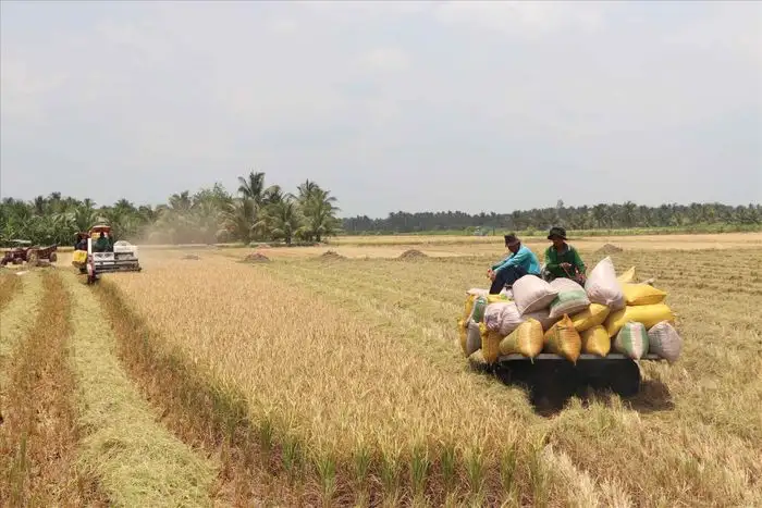Ngành Nông nghiệp và Môi trường sẵn sàng cho dấu son 80 năm