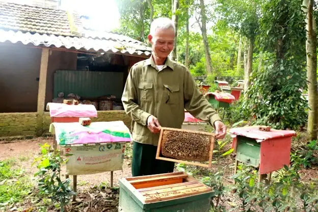 Nghề nuôi ong Nghĩa Đồng, Nghệ An: Từ tự phát đến xây dựng thương hiệu OCOP