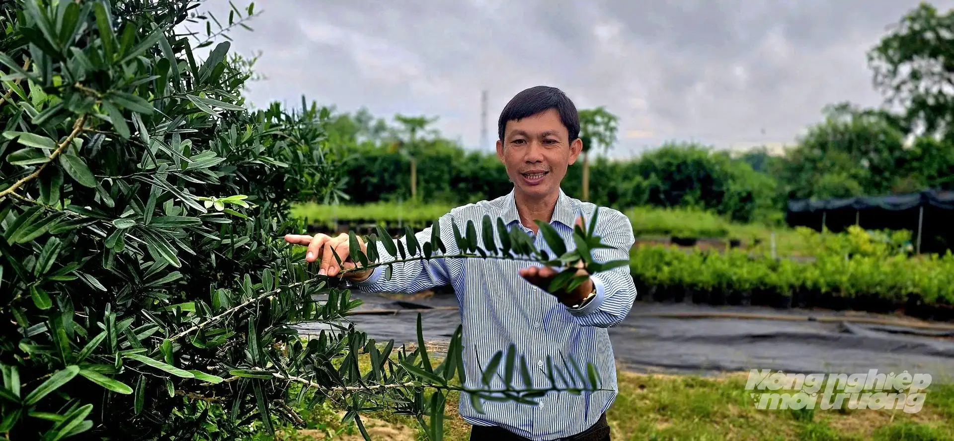 Người đưa &#8216;thần dược&#8217; rừng sâu thành sản phẩm OCOP 4 sao