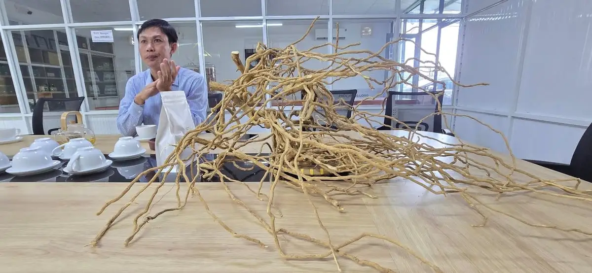 Người đưa &#8216;thần dược&#8217; rừng sâu thành sản phẩm OCOP 4 sao