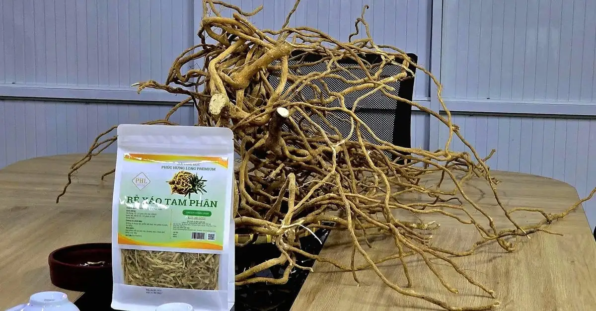 Người đưa &#8216;thần dược&#8217; rừng sâu thành sản phẩm OCOP 4 sao