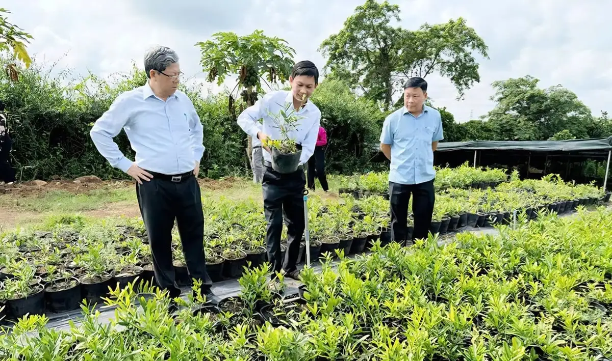 Người đưa ‘thần dược’ rừng sâu thành sản phẩm OCOP 4 sao