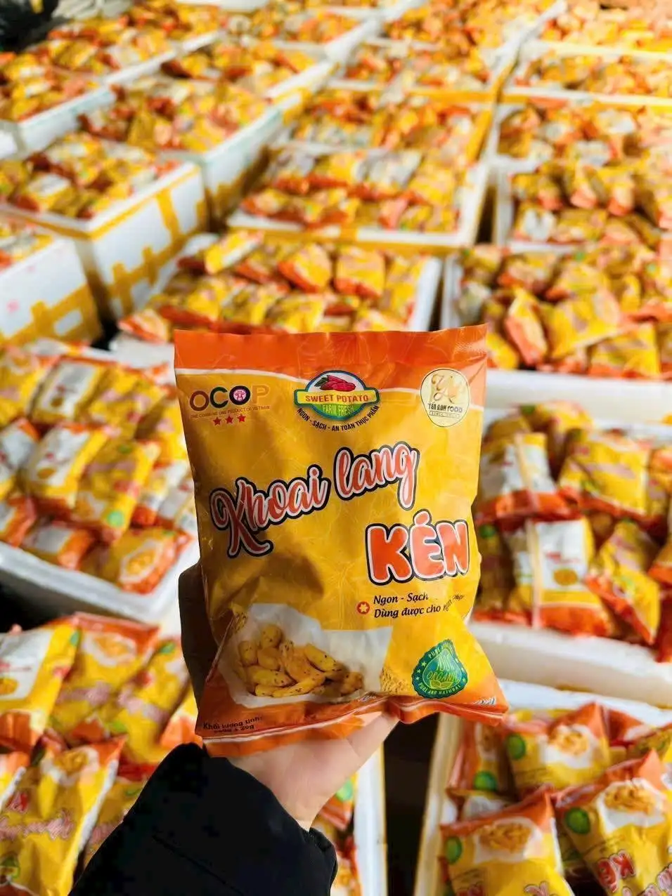 Người nâng tầm ngô, khoai, sắn lên hàng OCOP