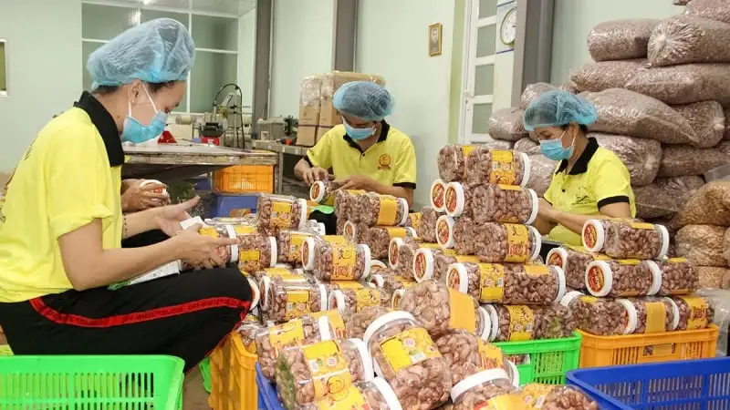 Những nông dân, hợp tác xã 4.0 ở Lào Cai, ngồi ở vườn mà đưa nông sản đi khắp mọi miền đất nước