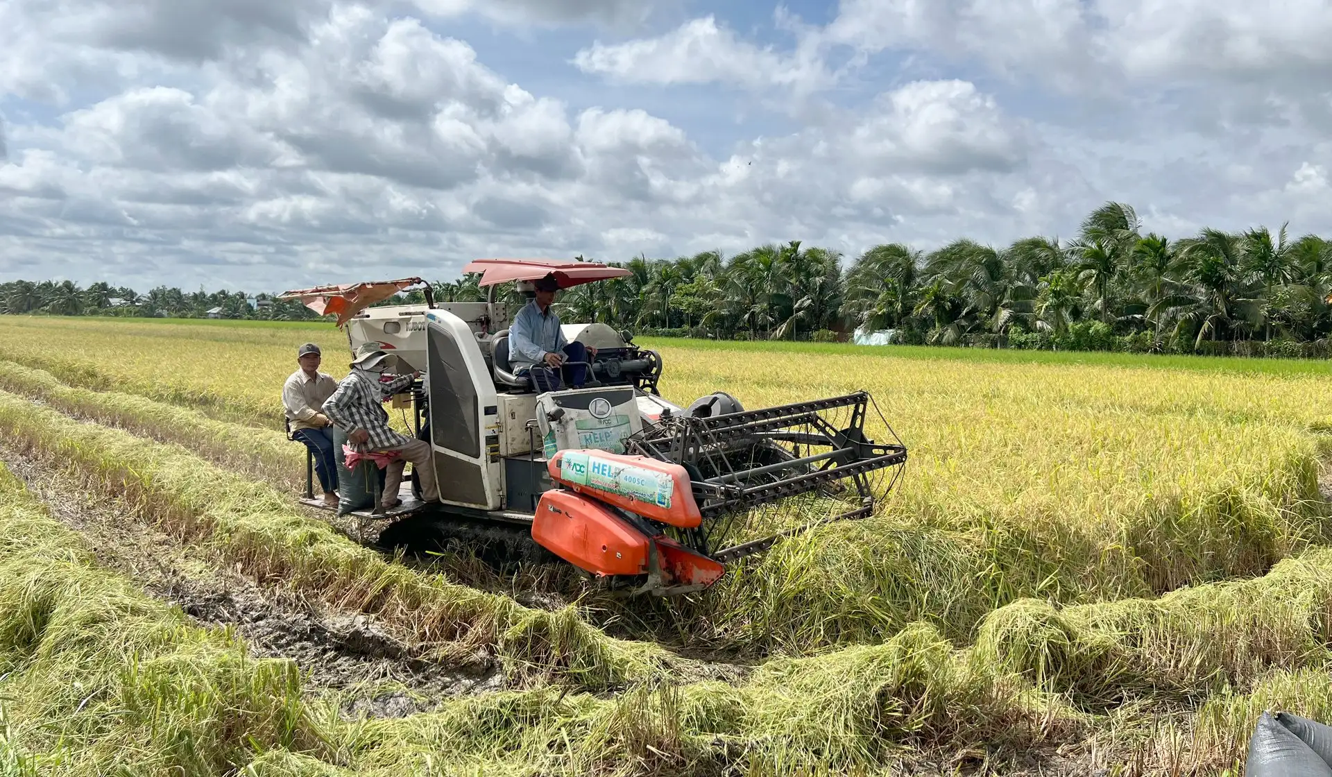 Nông dân ĐBSCL đổi mới, làm giàu từ mô hình nông nghiệp xanh