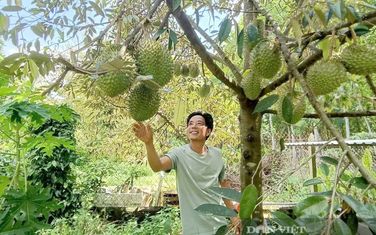 Nông dân ĐBSCL đổi mới, làm giàu từ mô hình nông nghiệp xanh