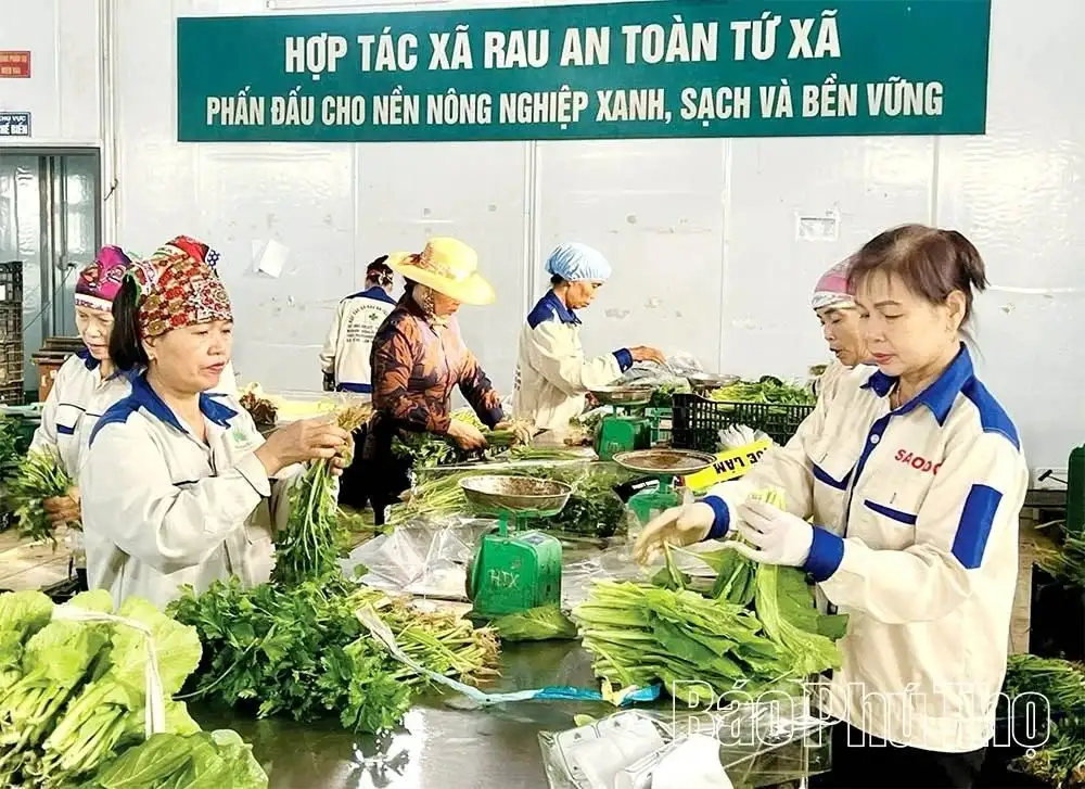 Nông nghiệp hữu cơ – Xu thế tất yếu của nông nghiệp hiện đại