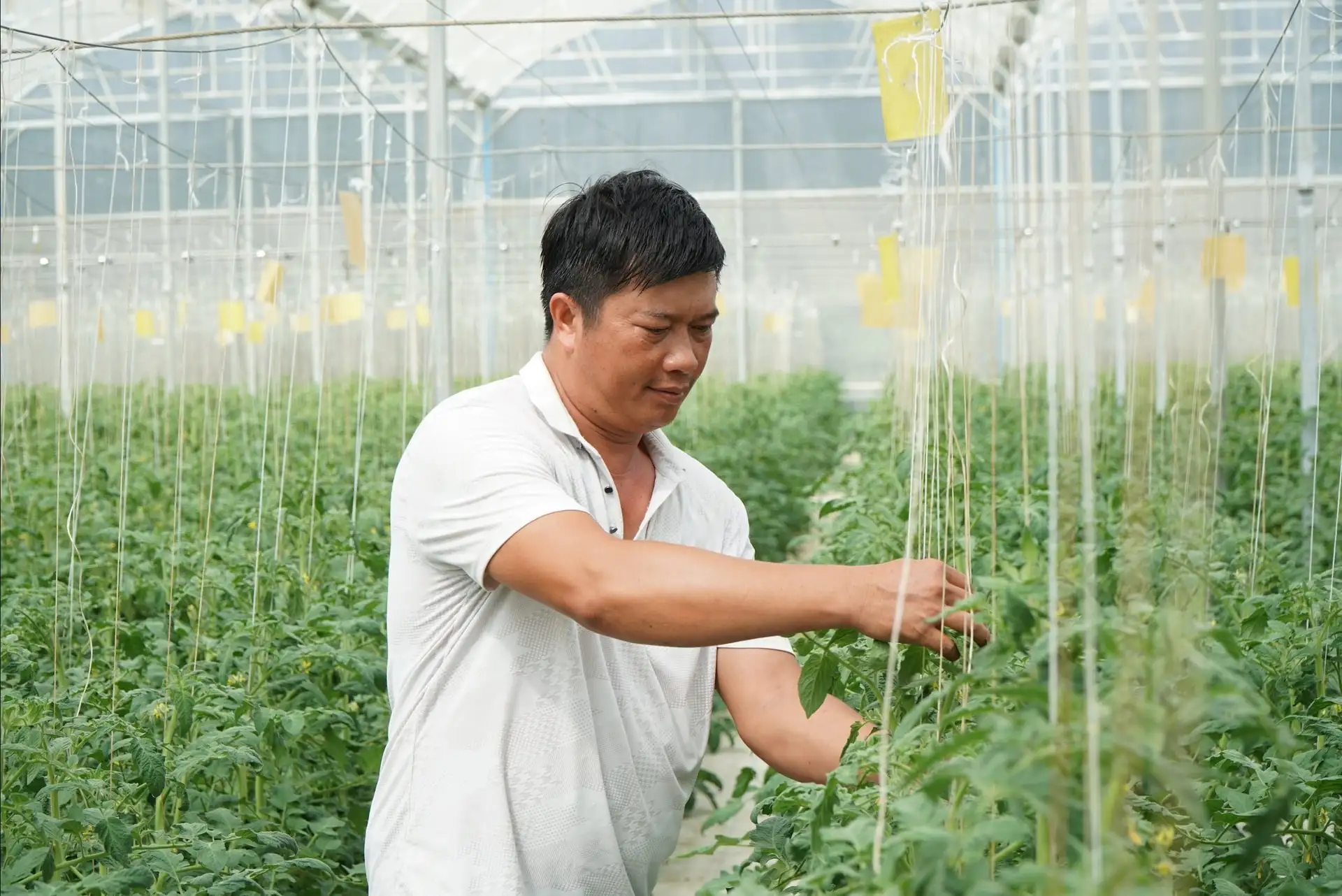 Nông nghiệp thông minh tạo nền tảng cho nông thôn mới bền vững