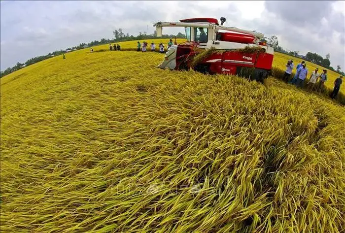 Nông nghiệp Việt Nam từ bệ đỡ đến động lực phát triển mới