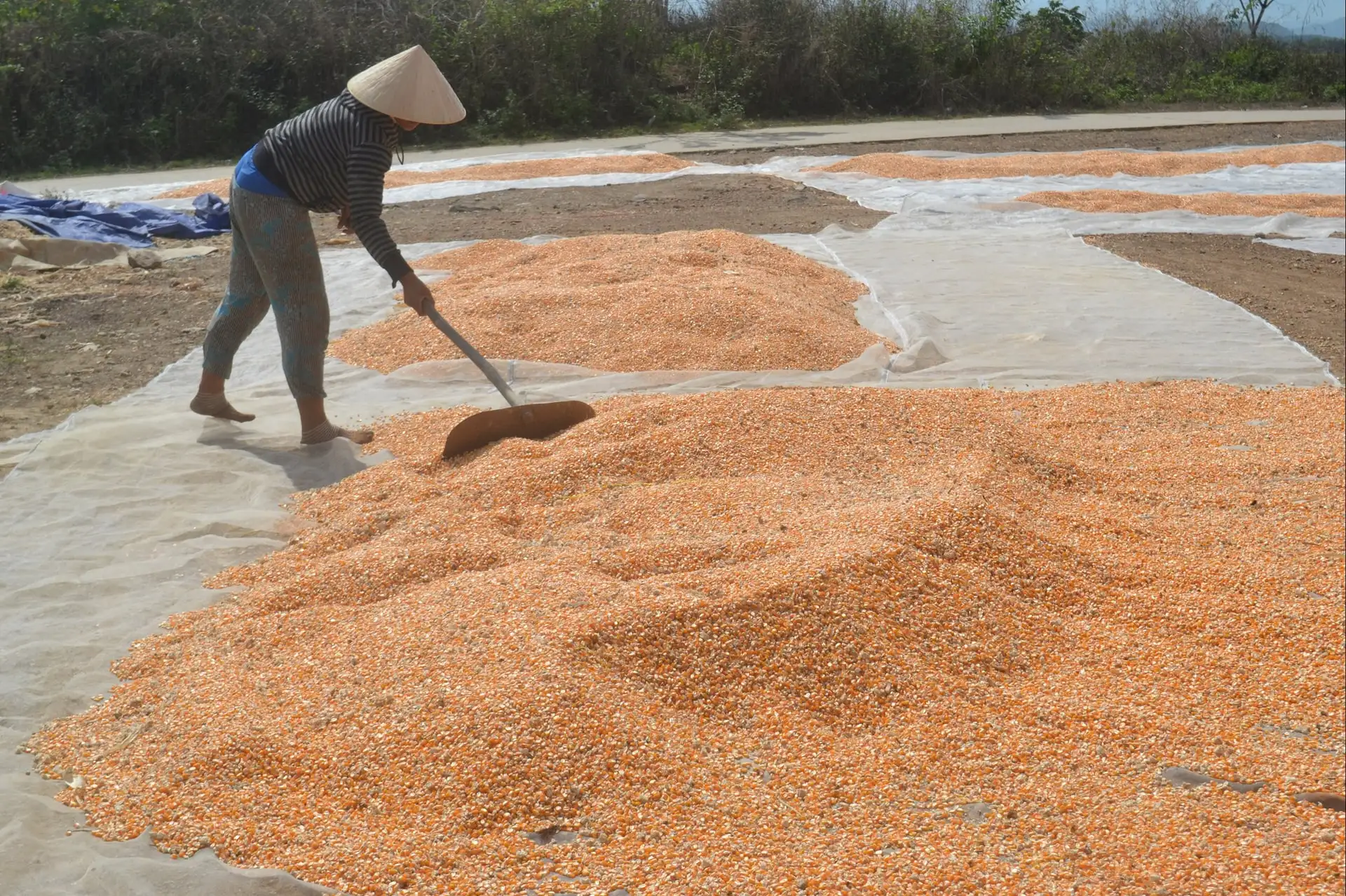 Nông thôn mới – chương trình của cả hệ thống chính trị