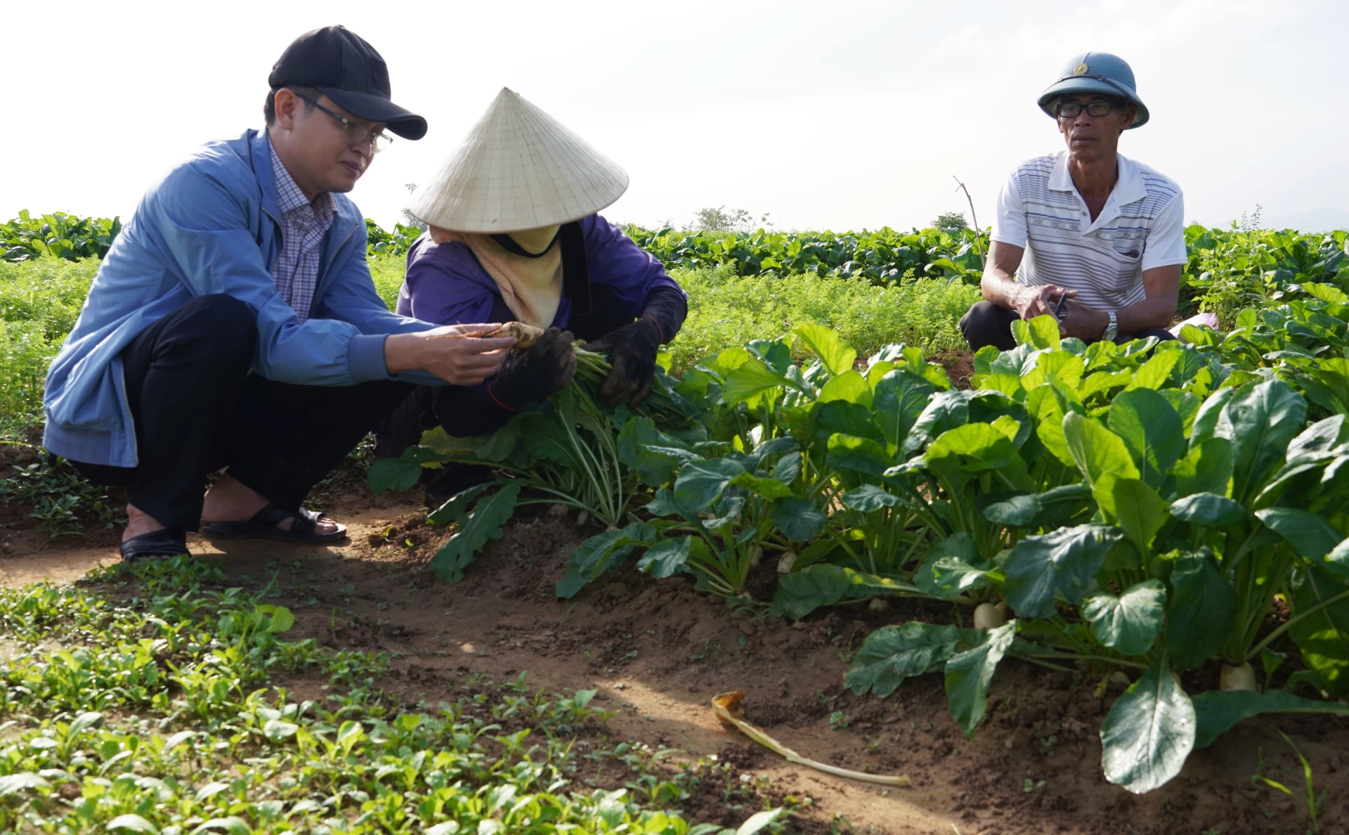 Nông thôn mới, diện mạo mới