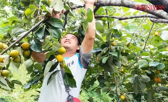 Nông thôn mới là cơ hội làm giàu bền vững ở Lạng Sơn