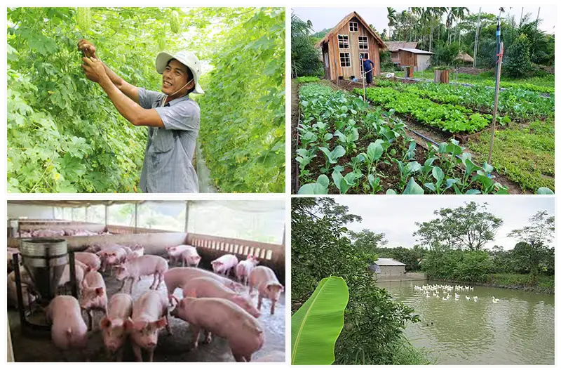 Kinh tế tuần hoàn &#8211; Động lực mới cho xây dựng nông thôn mới bền vững