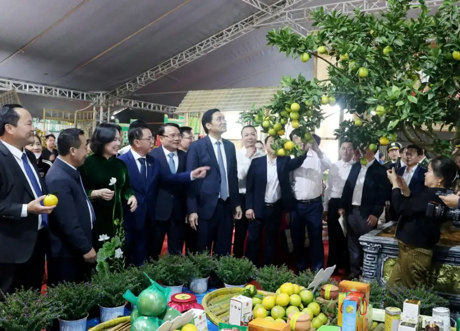 Nghệ An: Khai mạc Sự kiện kết nối cung cầu, quảng bá sản phẩm nông nghiệp tỉnh Nghệ An năm 2025