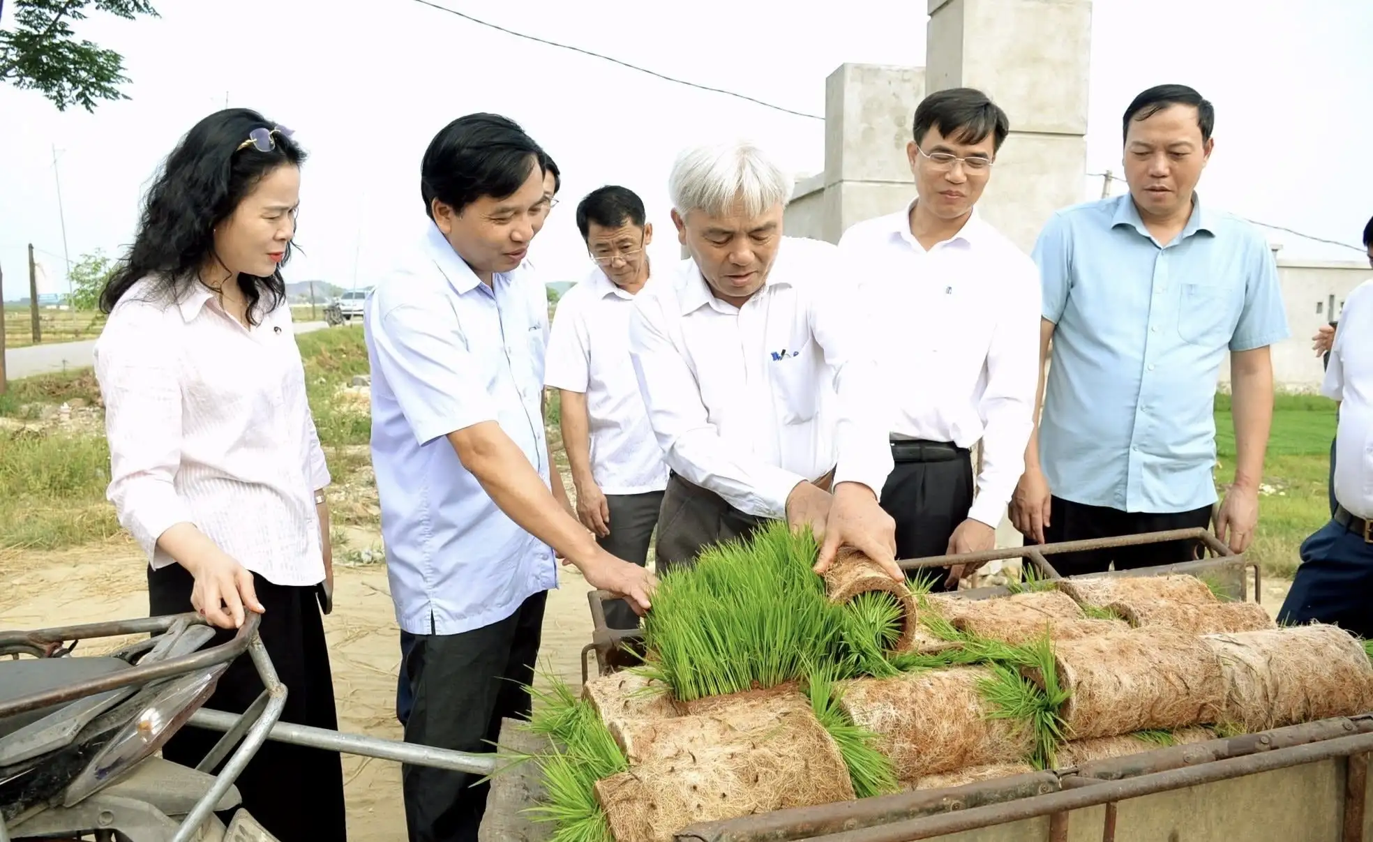 Phát triển kinh tế hộ gia đình và hợp tác xã ở thôn, bản – Nền tảng xây dựng thôn, bản văn hoá kiểu mẫu tại Nghệ An