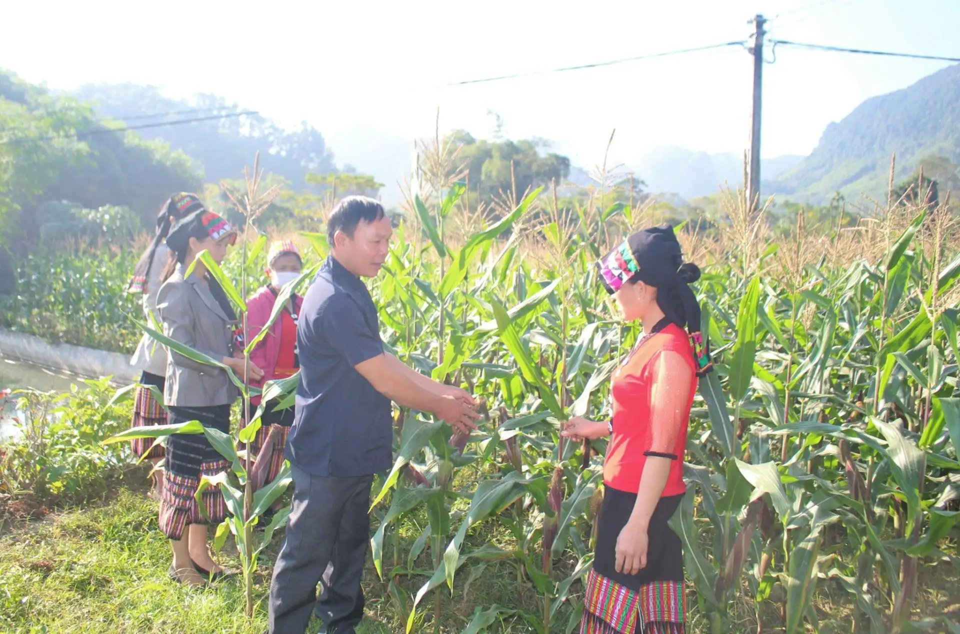 Vai trò già làng, người uy tín trong thực tiễn xây dựng nông thôn mới tai xã Tam Thái, tỉnh Nghệ An trong giai đoạn 2021-2025