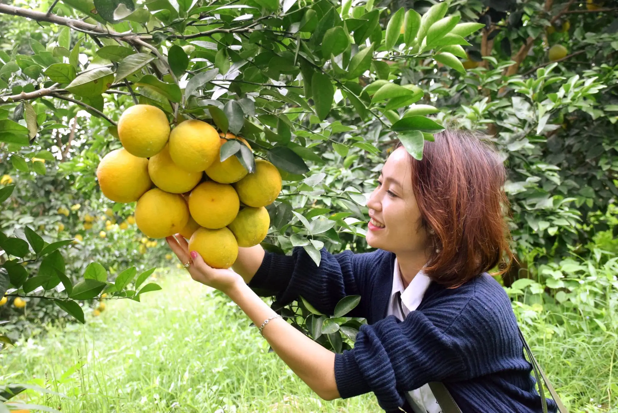 Phát triển chuỗi liên kết giá trị nông sản đặc thù với du lịch tại các xã miền Tây Nghệ An